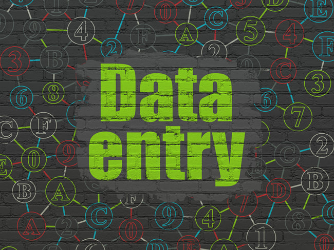 the best data entry companies